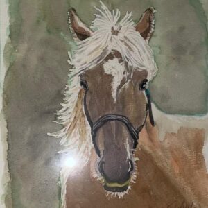 Cheval de face