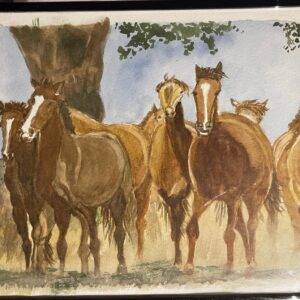 Troupeau de cheval