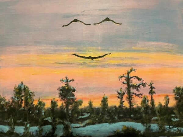 Le Sourire des Oiseaux