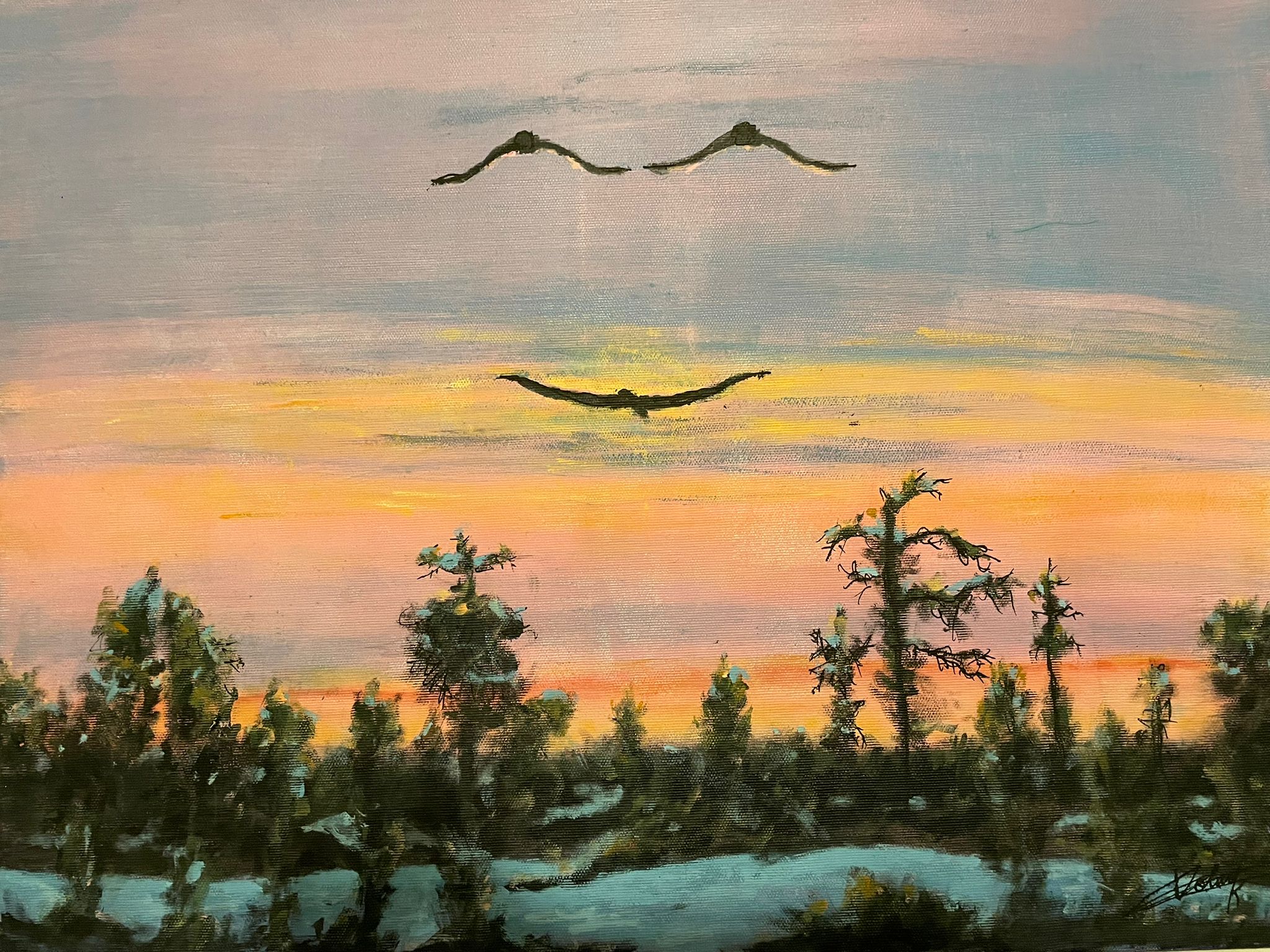 Smiley oiseaux