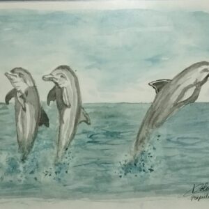 Les Dauphins