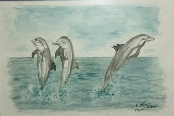 Les Dauphins