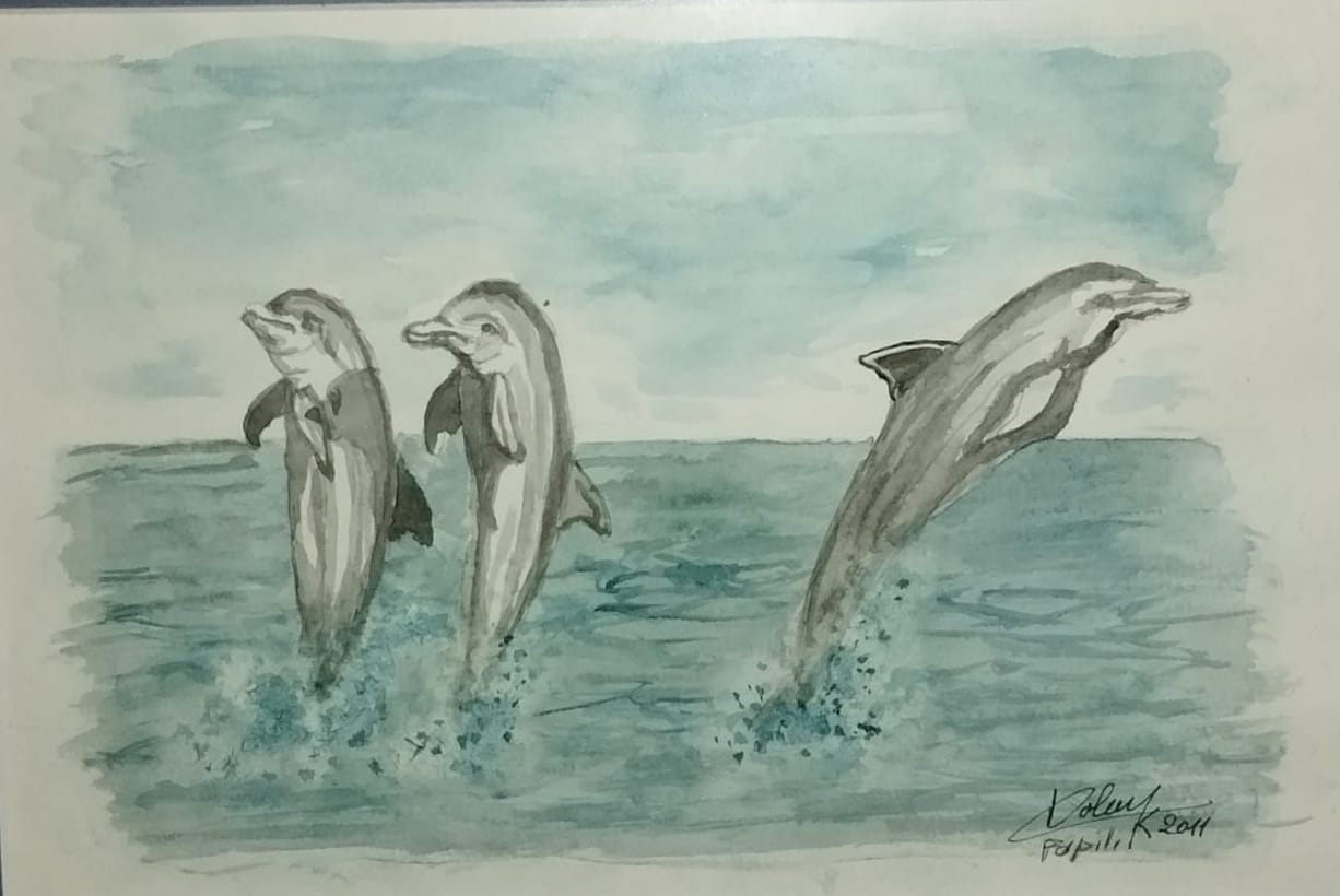 Sauts de dauphins
