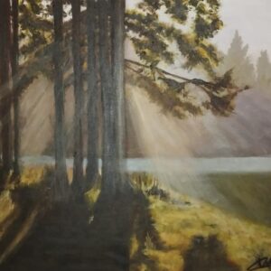 Forêt de lumière