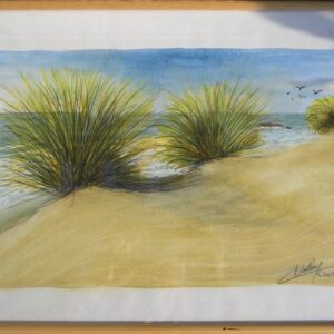Broussailles sur la plage