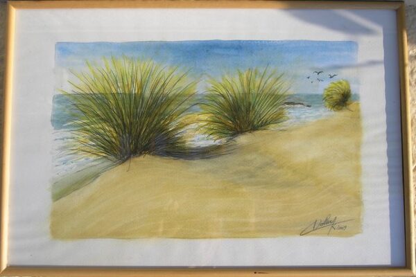 Broussailles sur la plage