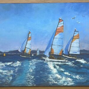 Course de Voiliers