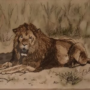 Lion couché