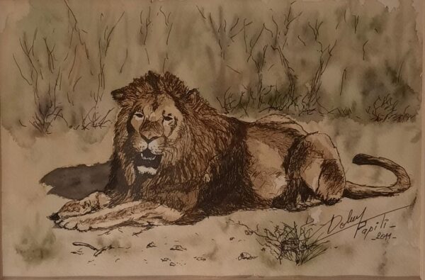 Lion couché