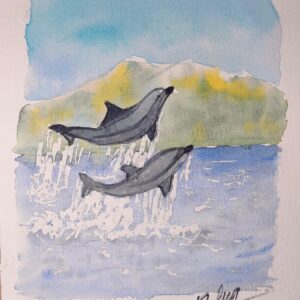 Saut de dauphins